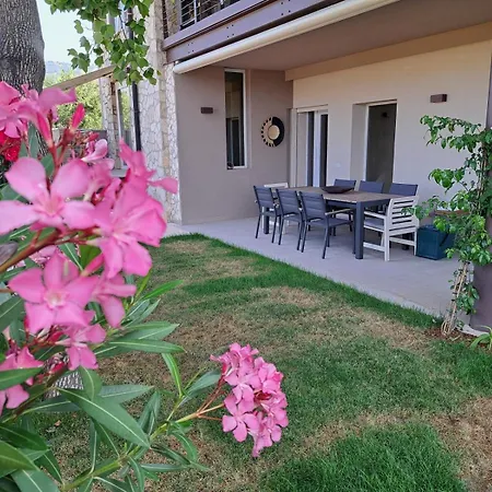 Dell'olivo Bianco Vila Castion Veronese