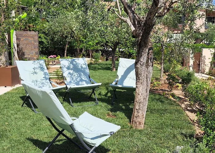 Dell'olivo Bianco Castion Veronese