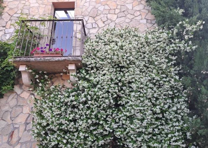 Dell'olivo Bianco Villa Castion Veronese